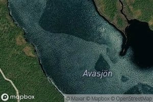 Avasjon