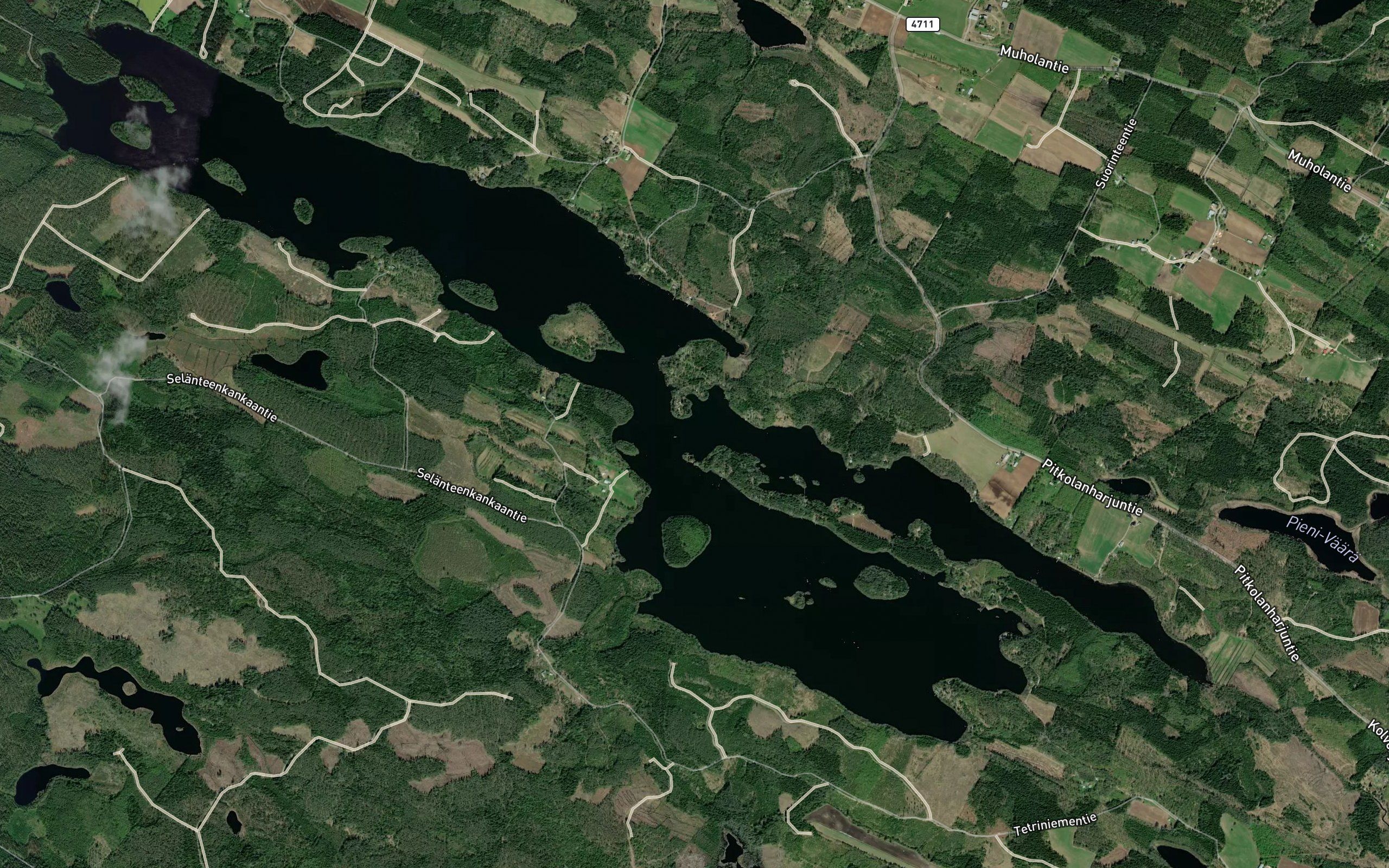 Kolvonen