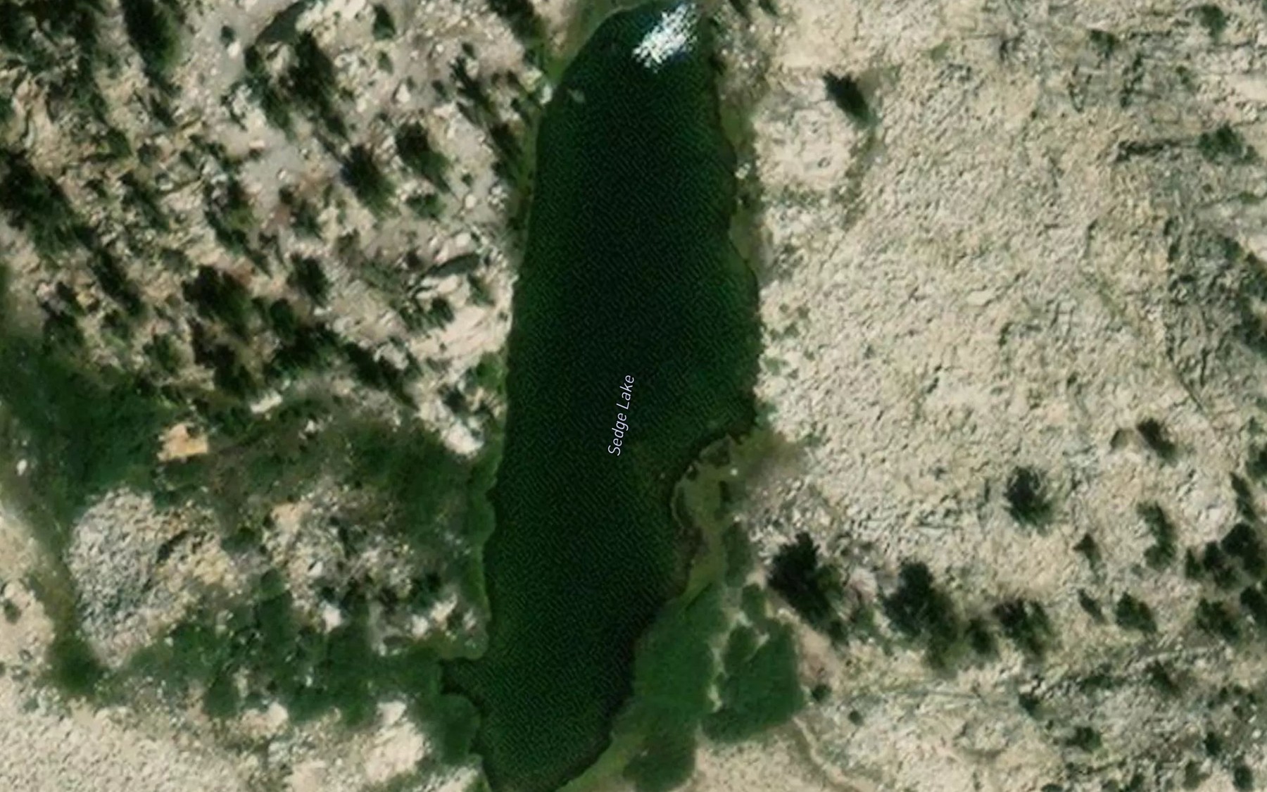 Satellite map of the Sedge Lake