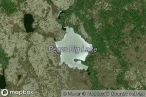 Bears Big Lake