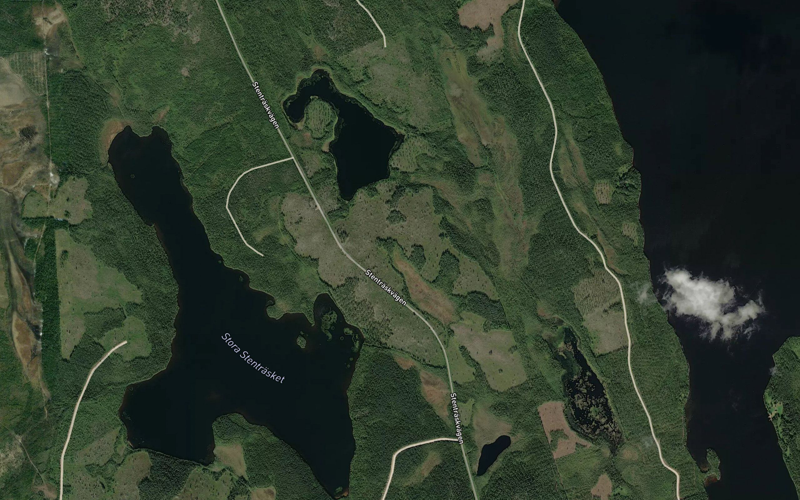 Lilla Stentrasket