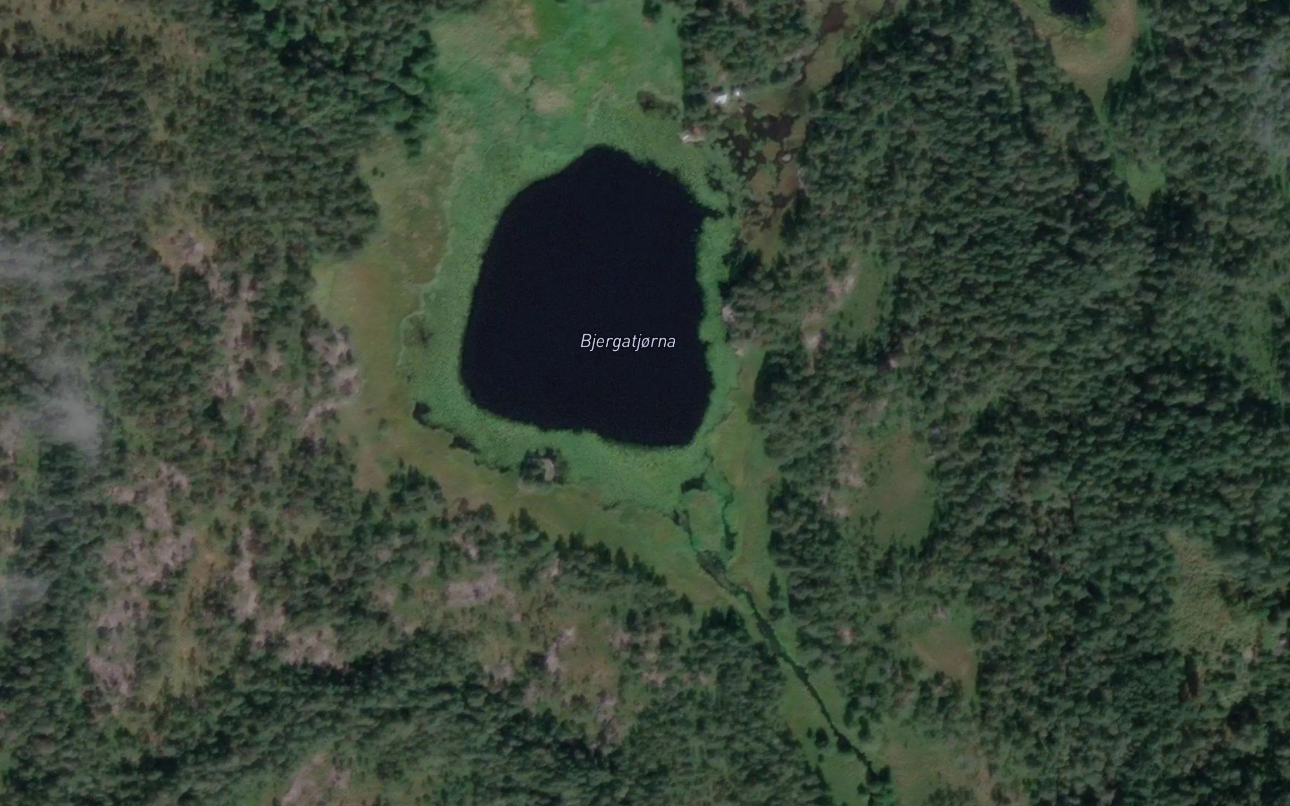 Bjergatjorna