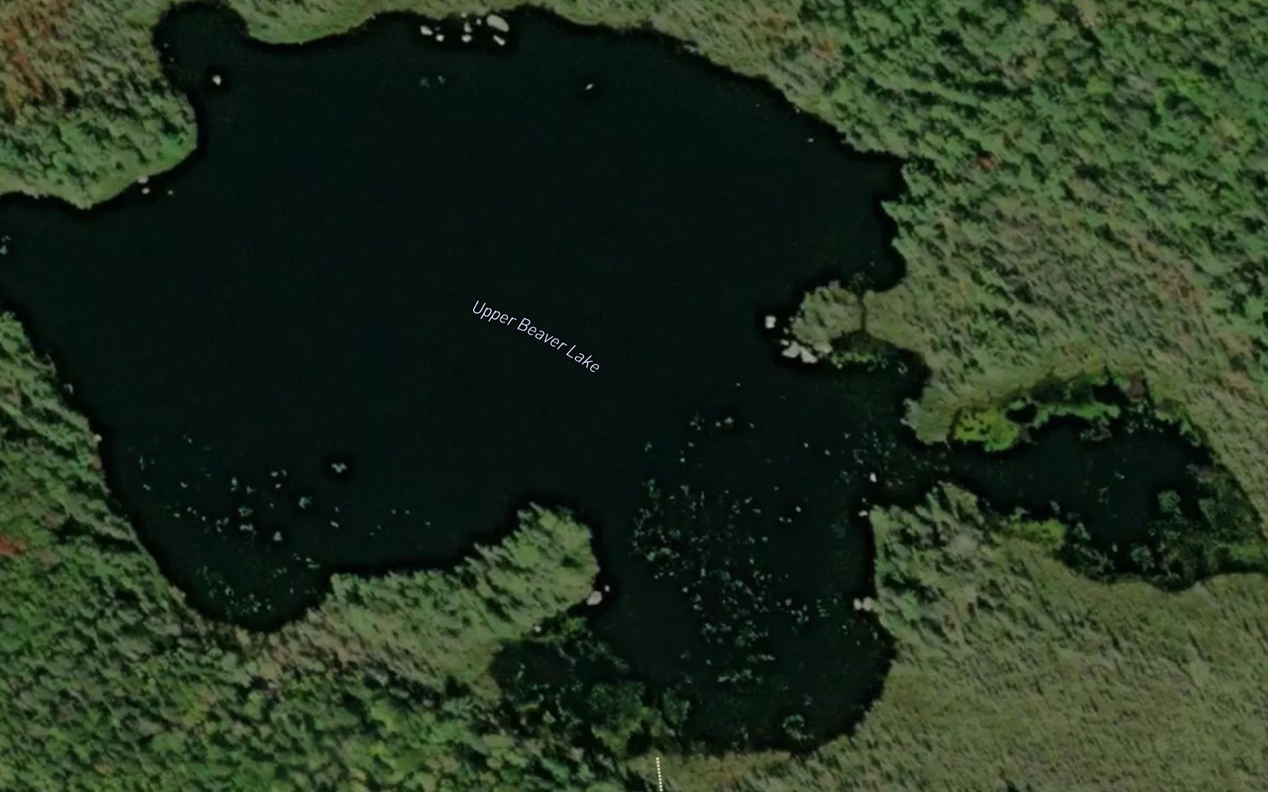 Satellite map of the Upper Beaver Lake