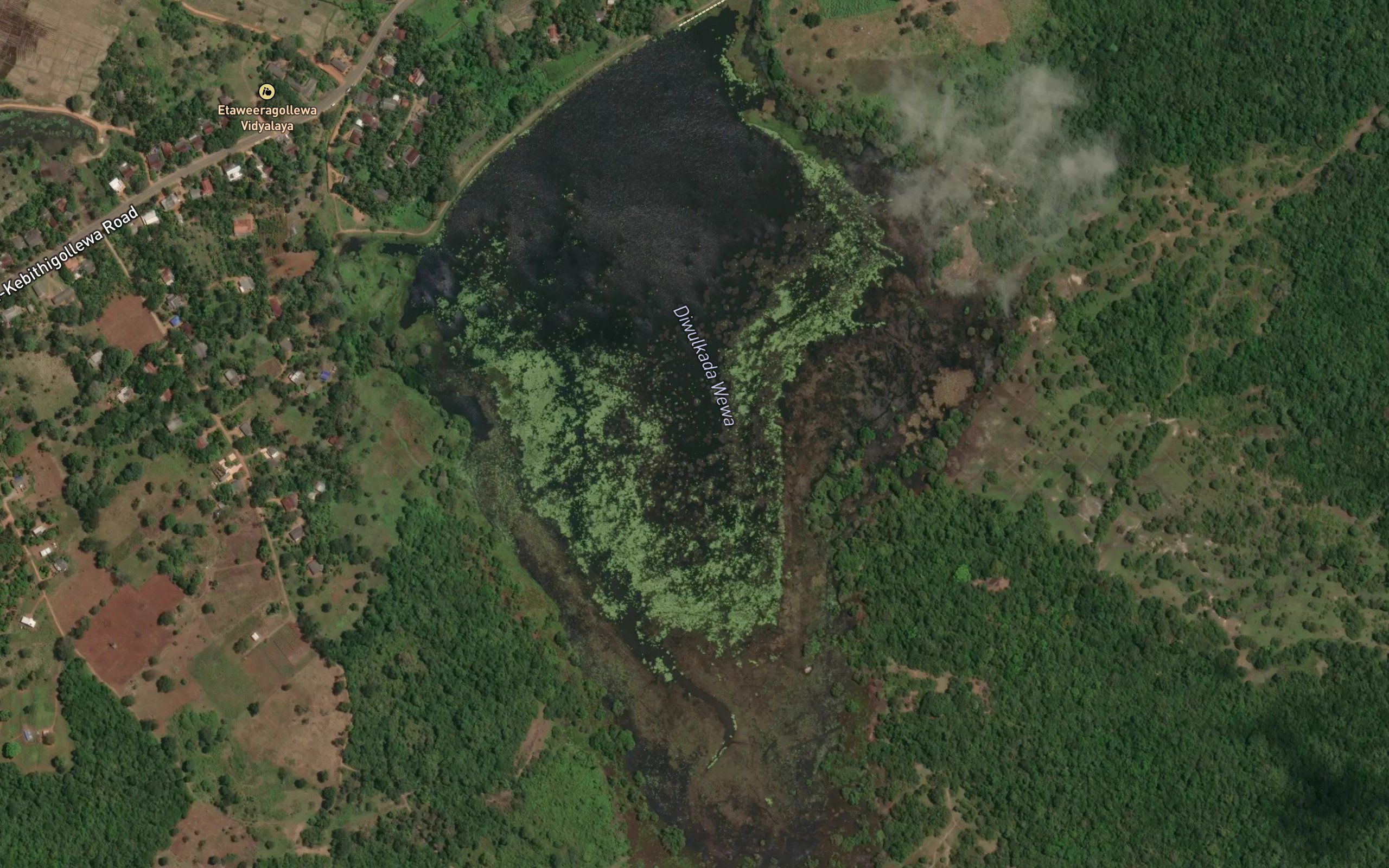 Diwulgaskada Wewa
