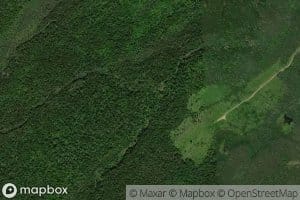 North Branch McNeal Brook