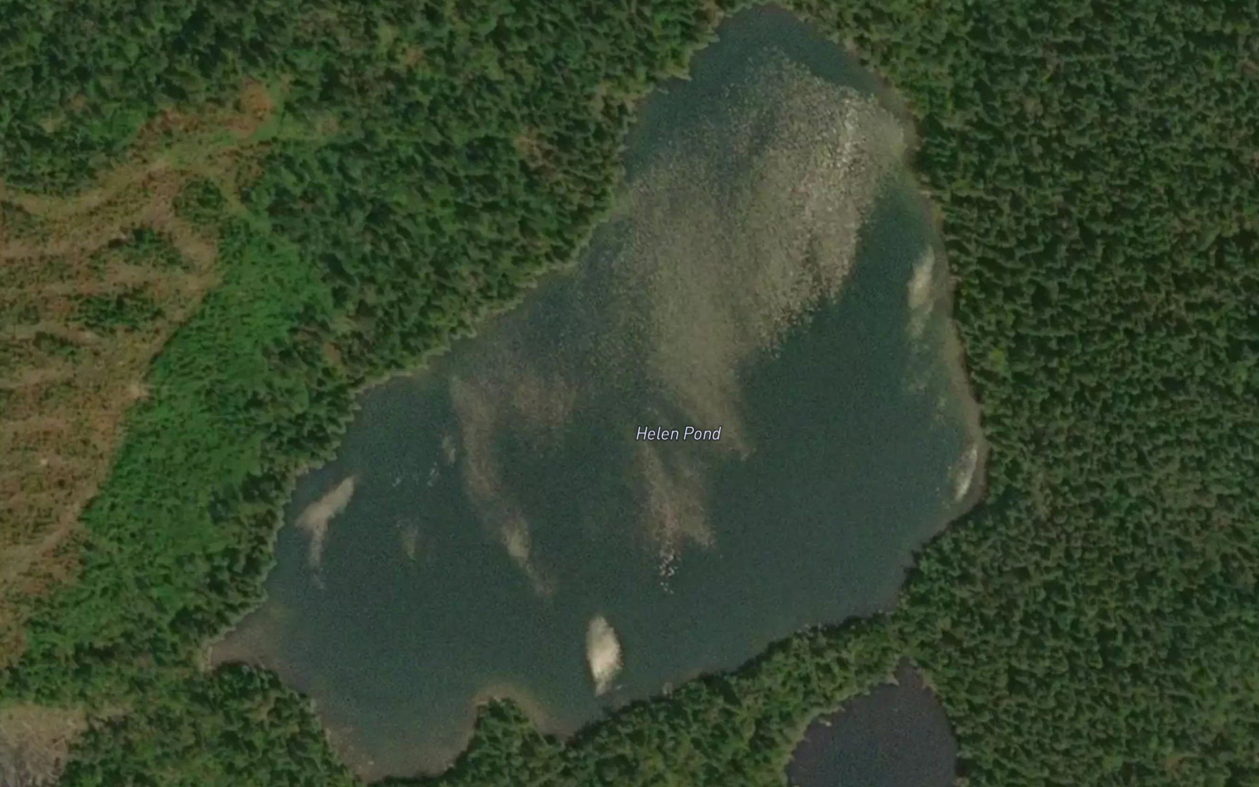 Helen Pond
