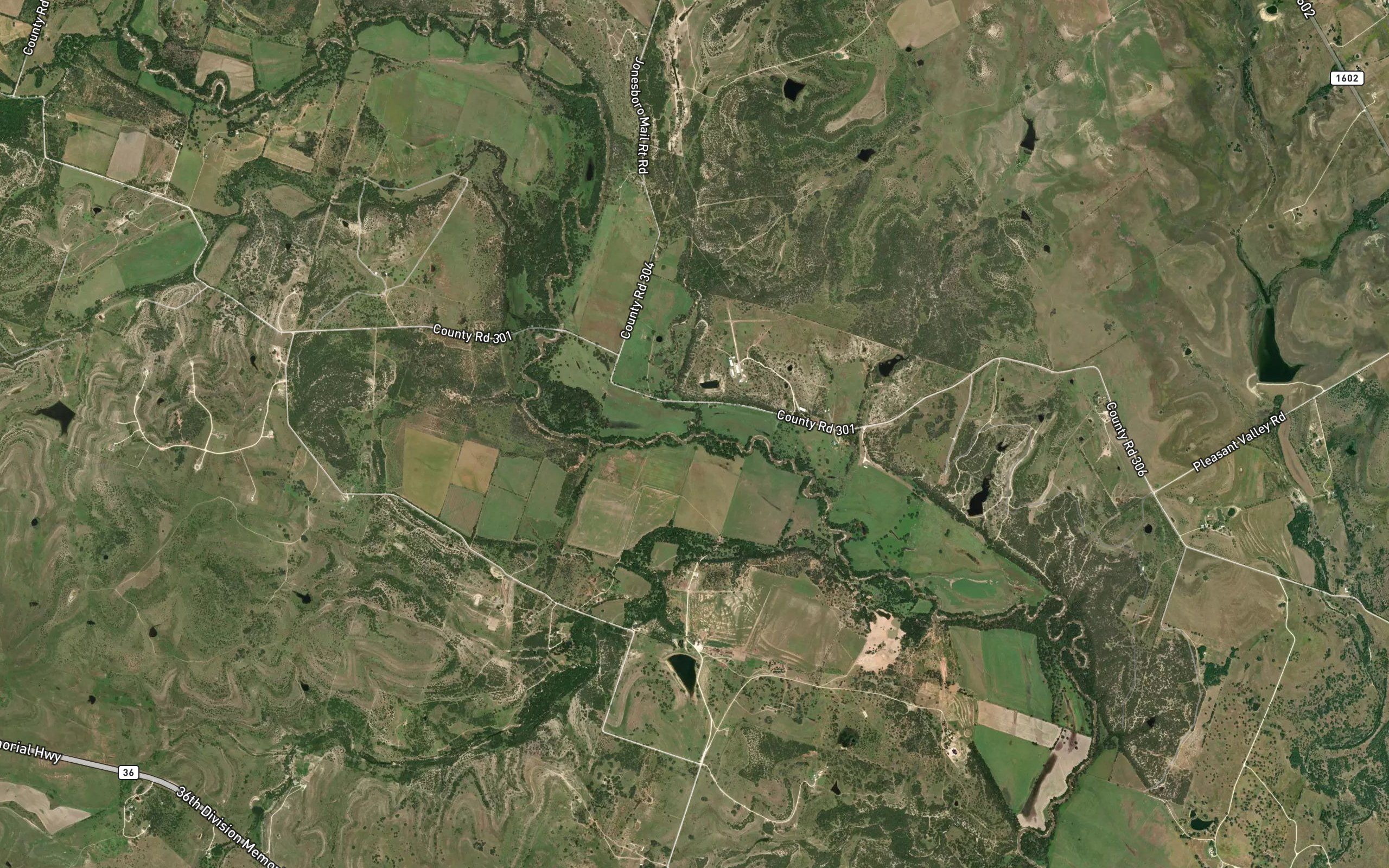 Sycamore Creek