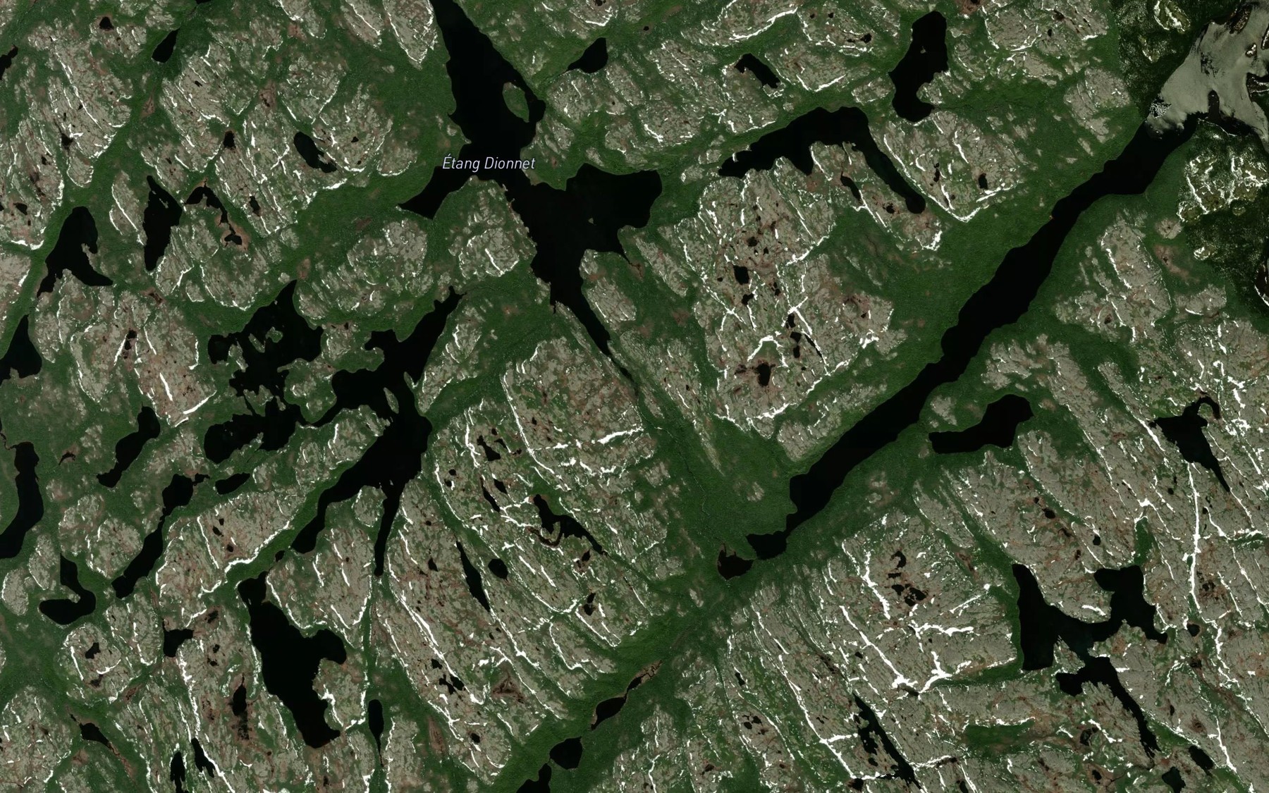 Satellite map of the Etang Dionnet