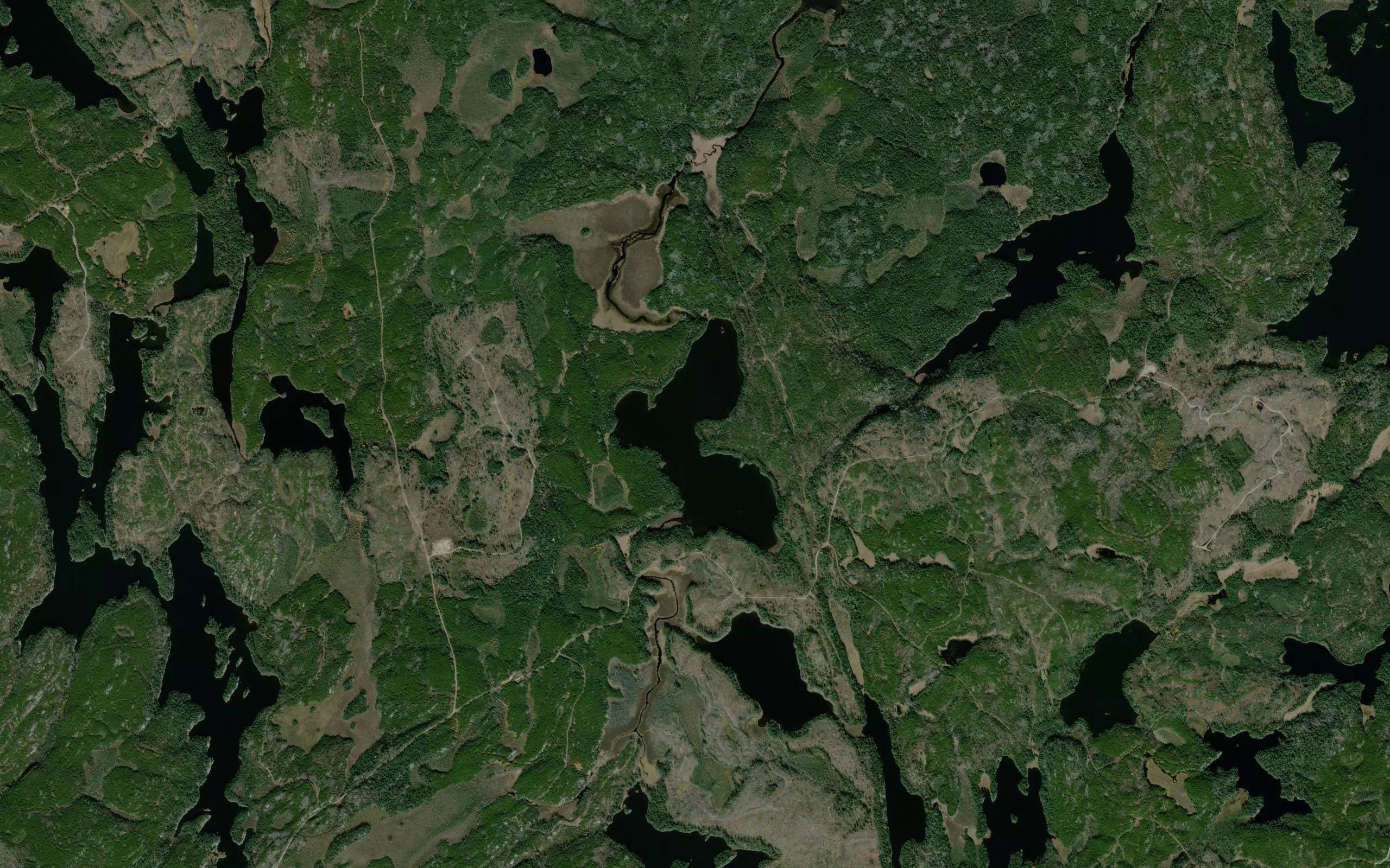 Butterfly Lake