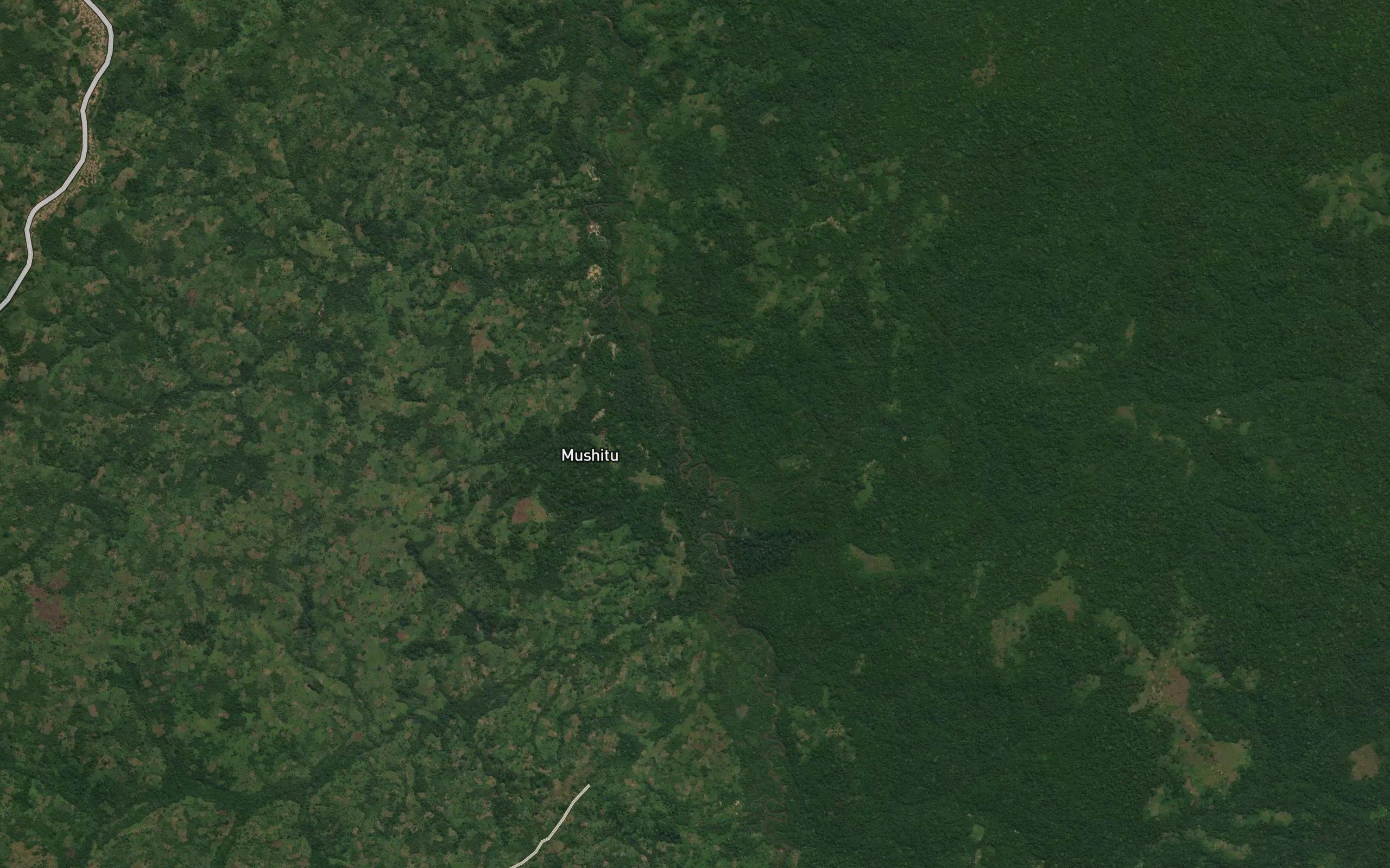 Tshamba