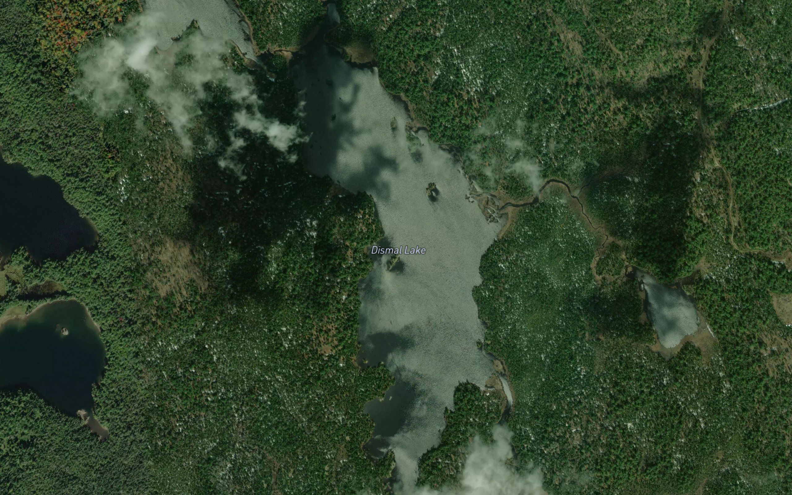 Dismal Lake