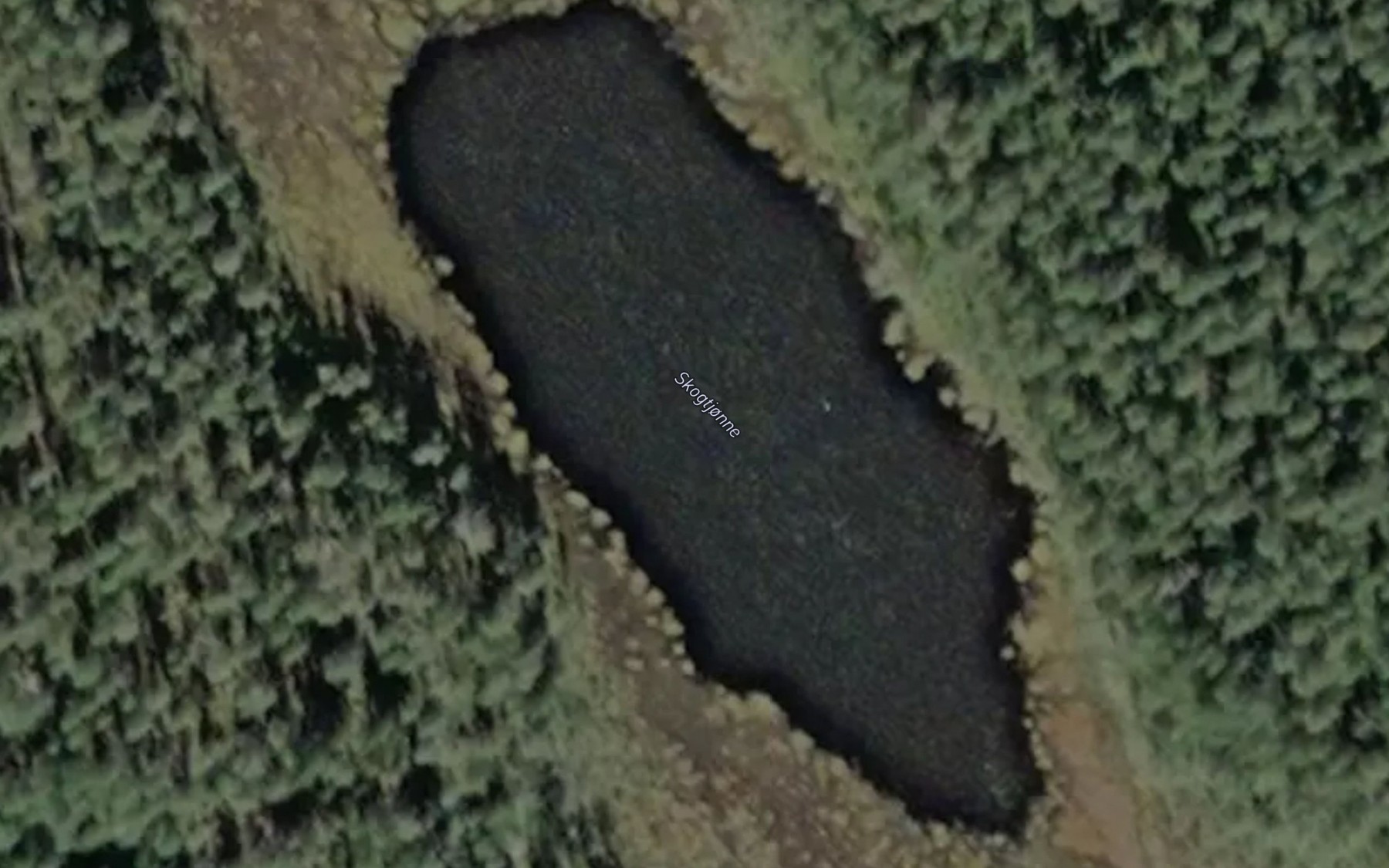 Satellite map of the Skogtjonne