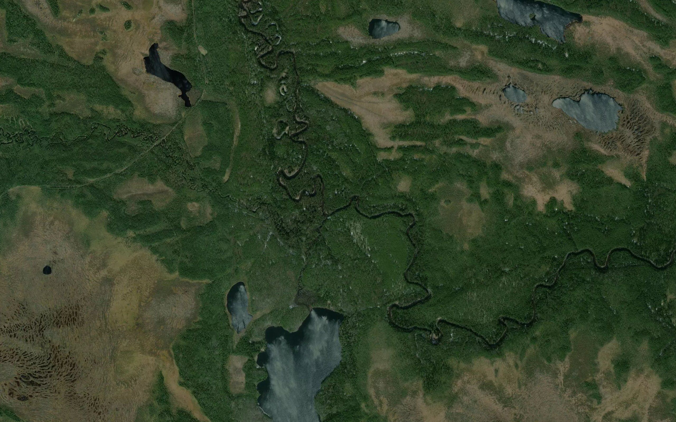 Belaya