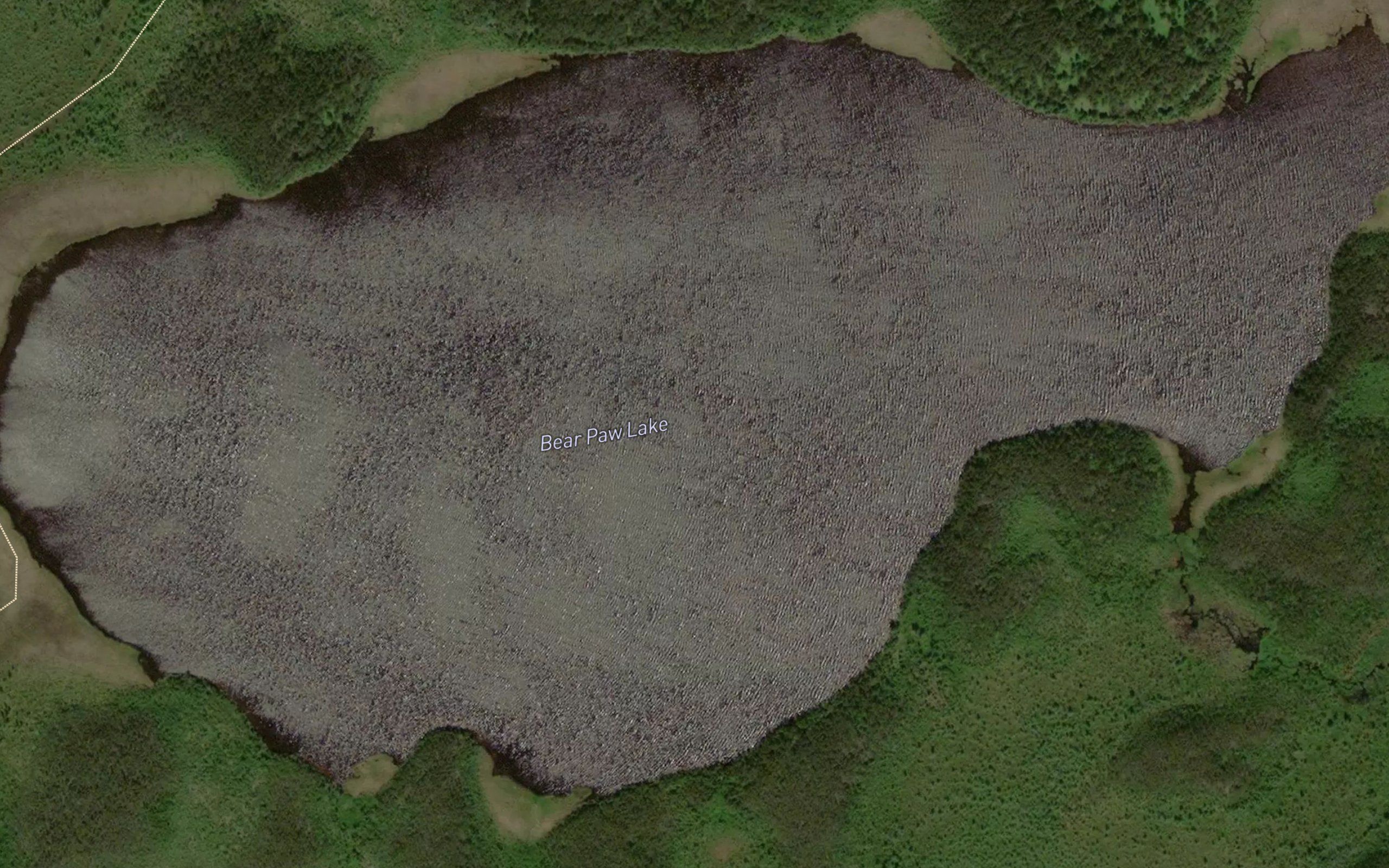 Bear Paw Lake