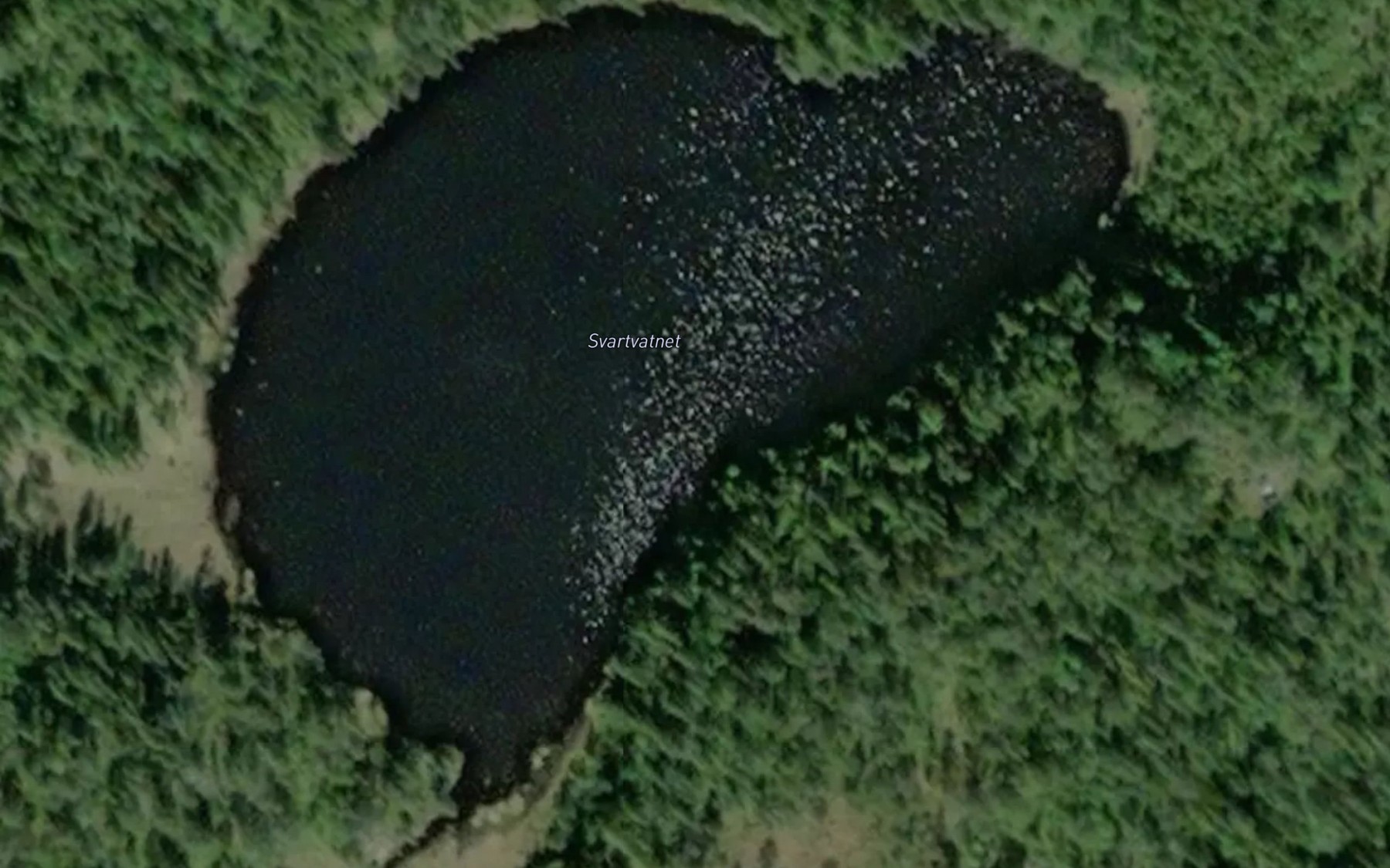 Satellite map of the Svartvatnet