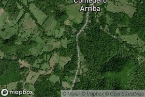 Arroyo Sabana Potrero