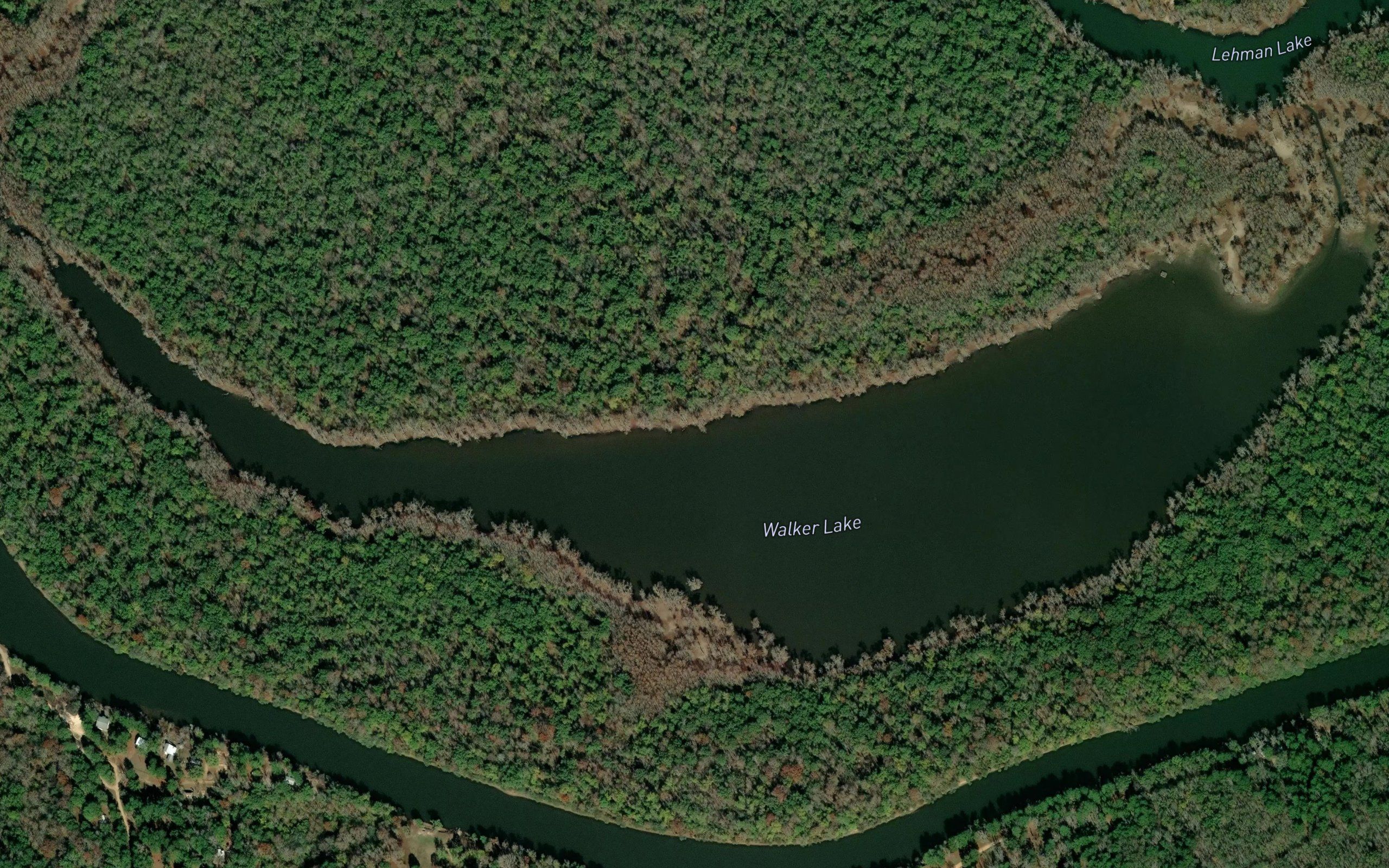 Walker Lake