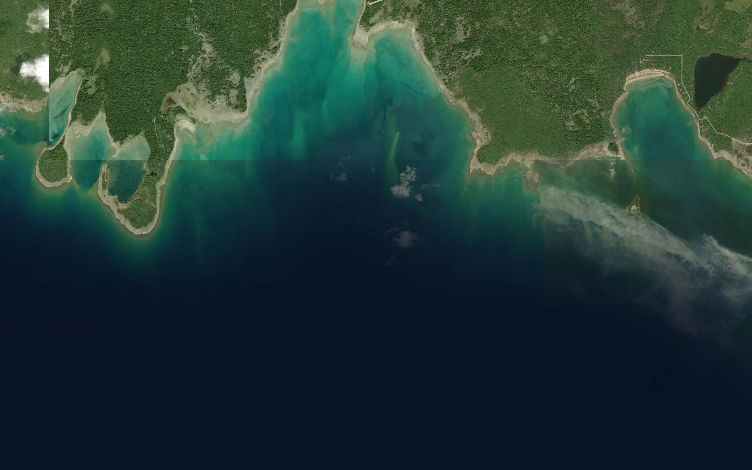 Morrell Reef