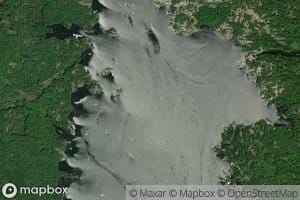Little Dog Channel