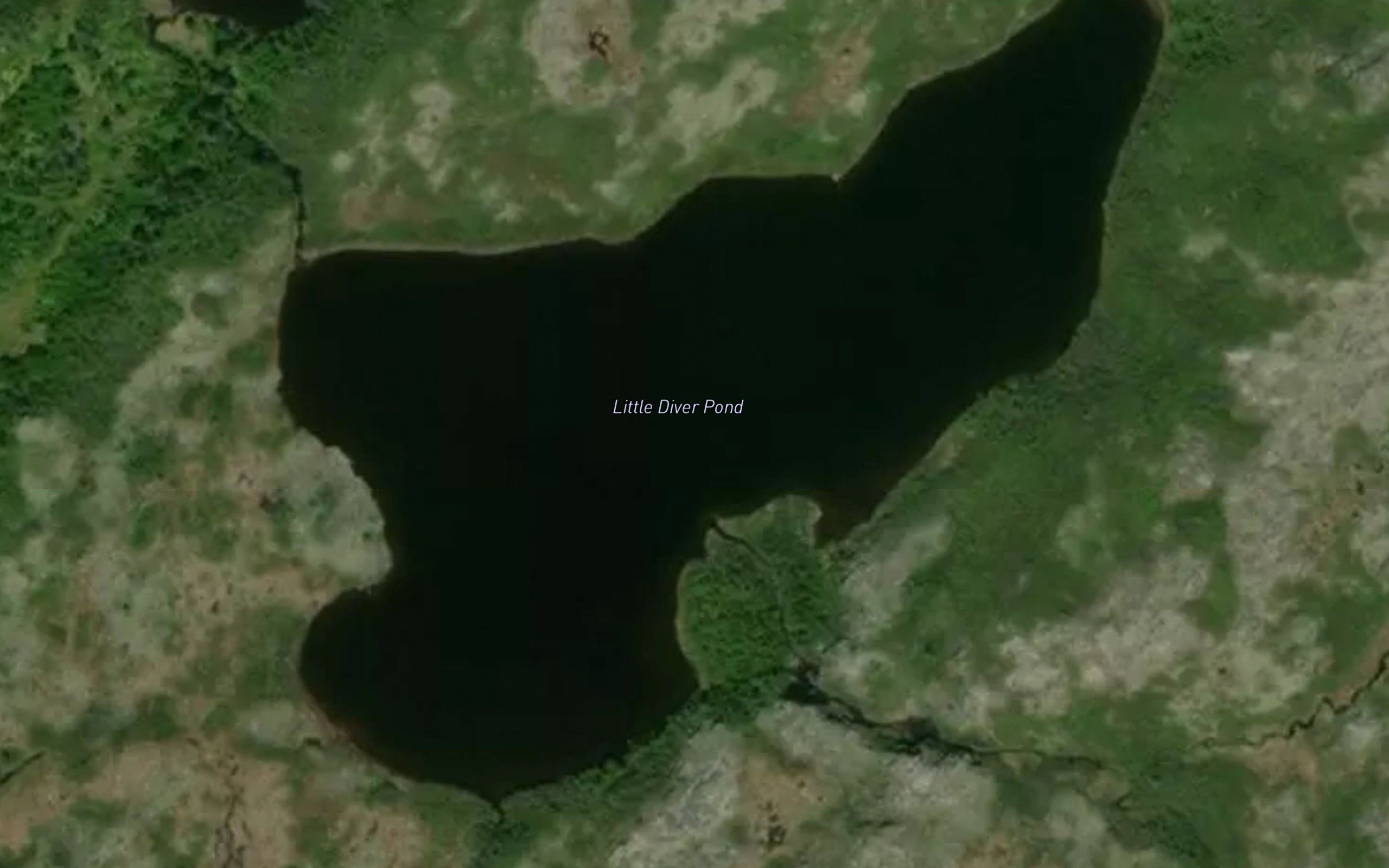 Little Diver Pond