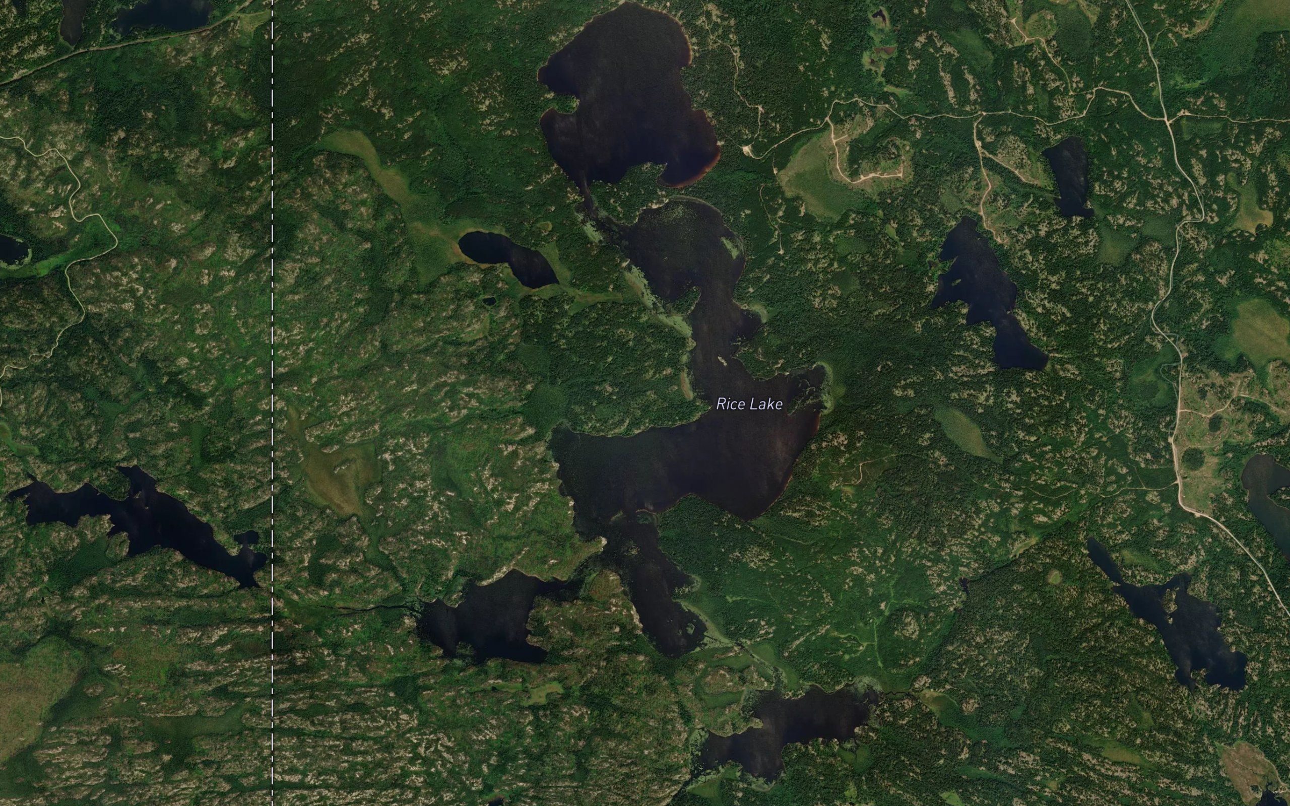 Rice Lake