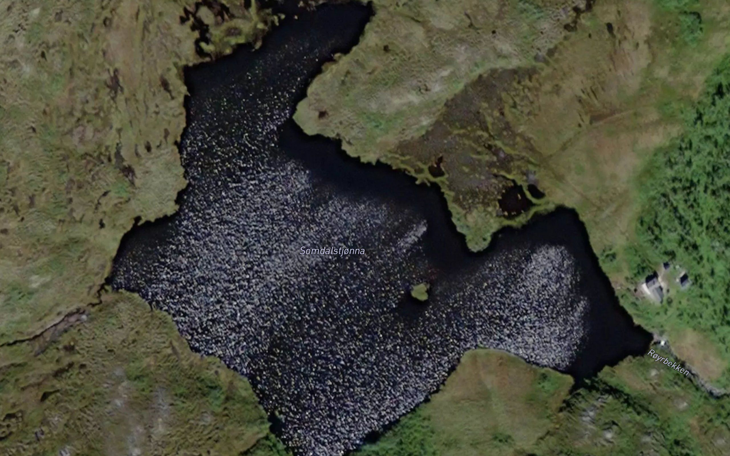 Somdalstjorna
