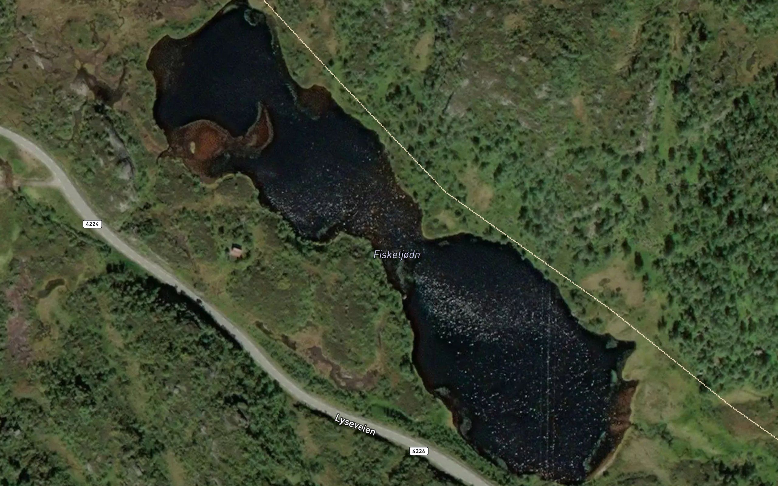 Fisketjorni