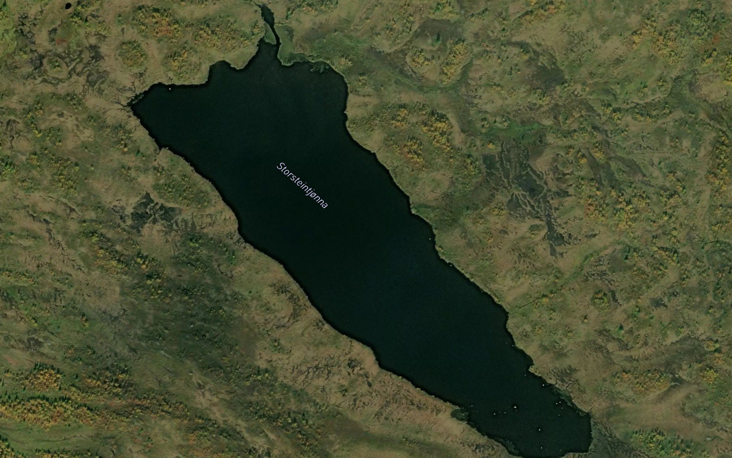 Storsteintjorna