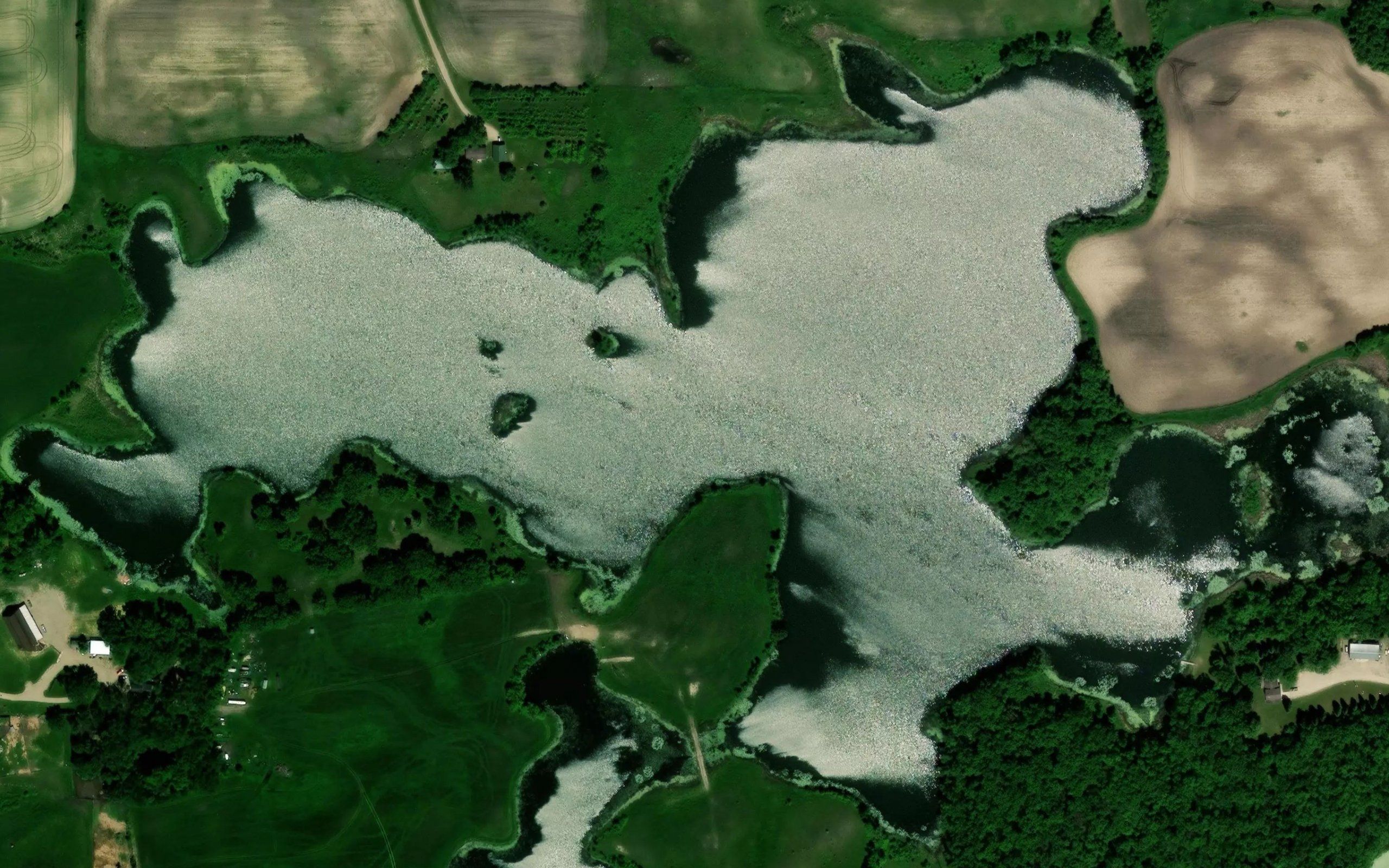 Christ Olson Lake