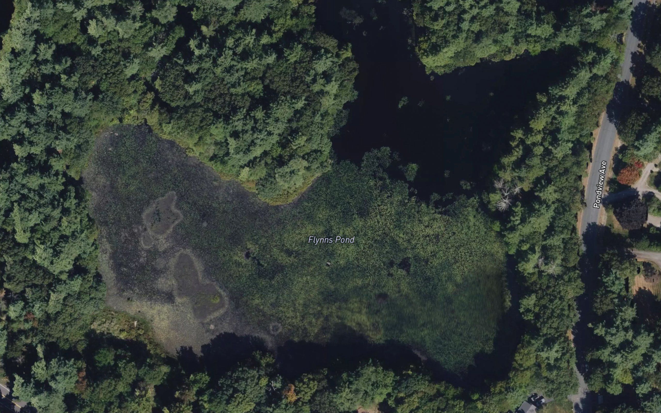 Flynns Pond