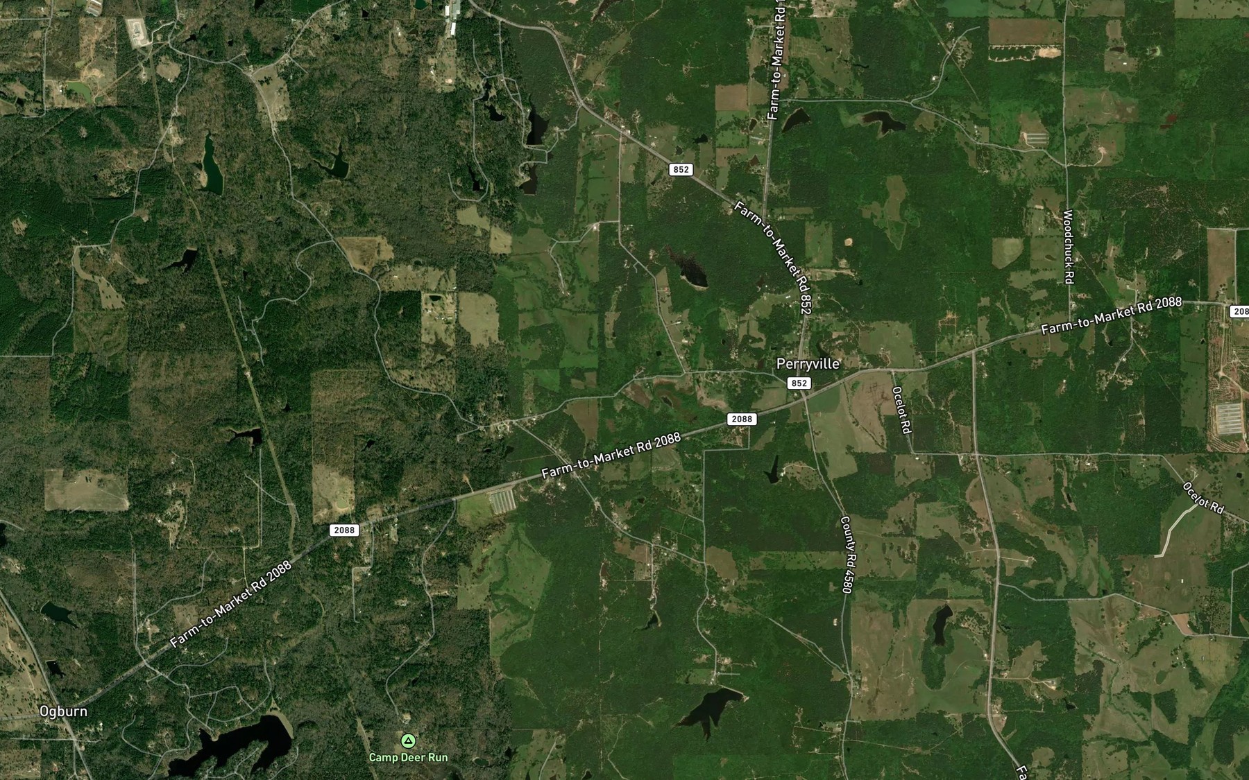 Satellite map of the Webster Branch