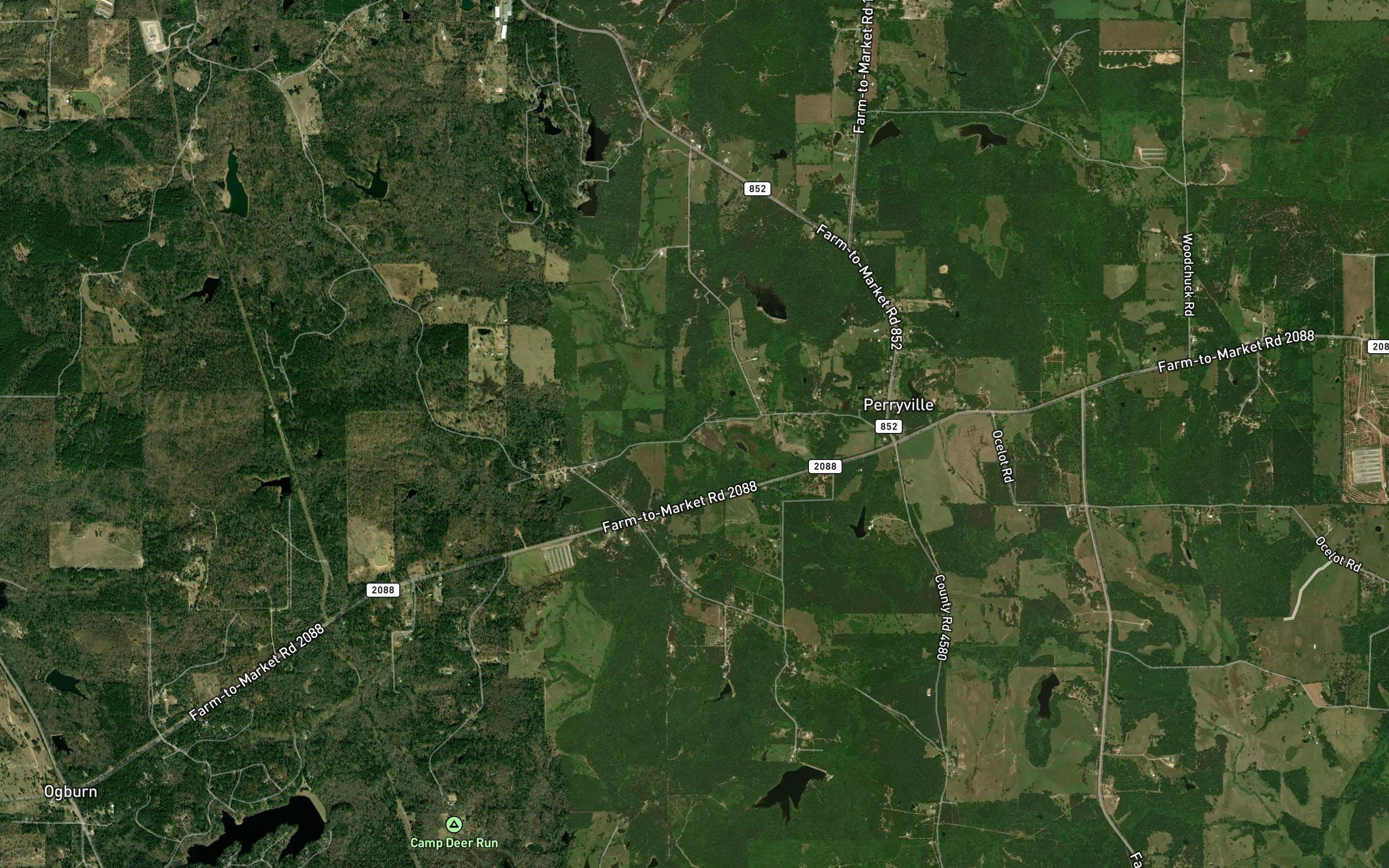 Webster Branch