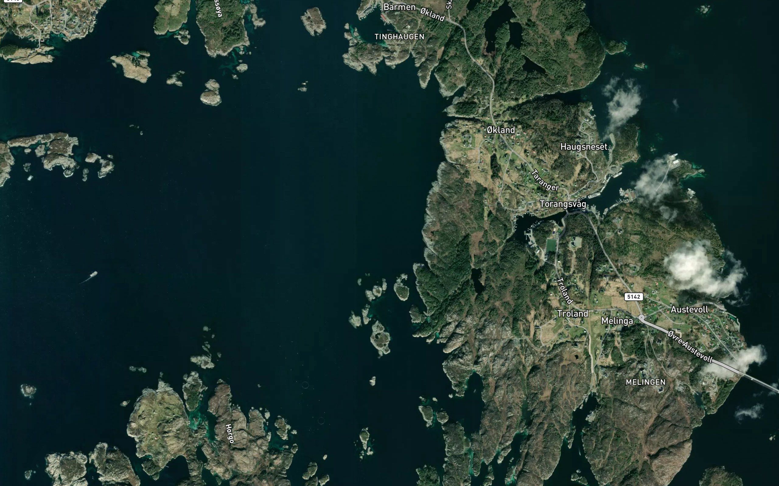 Havikflua