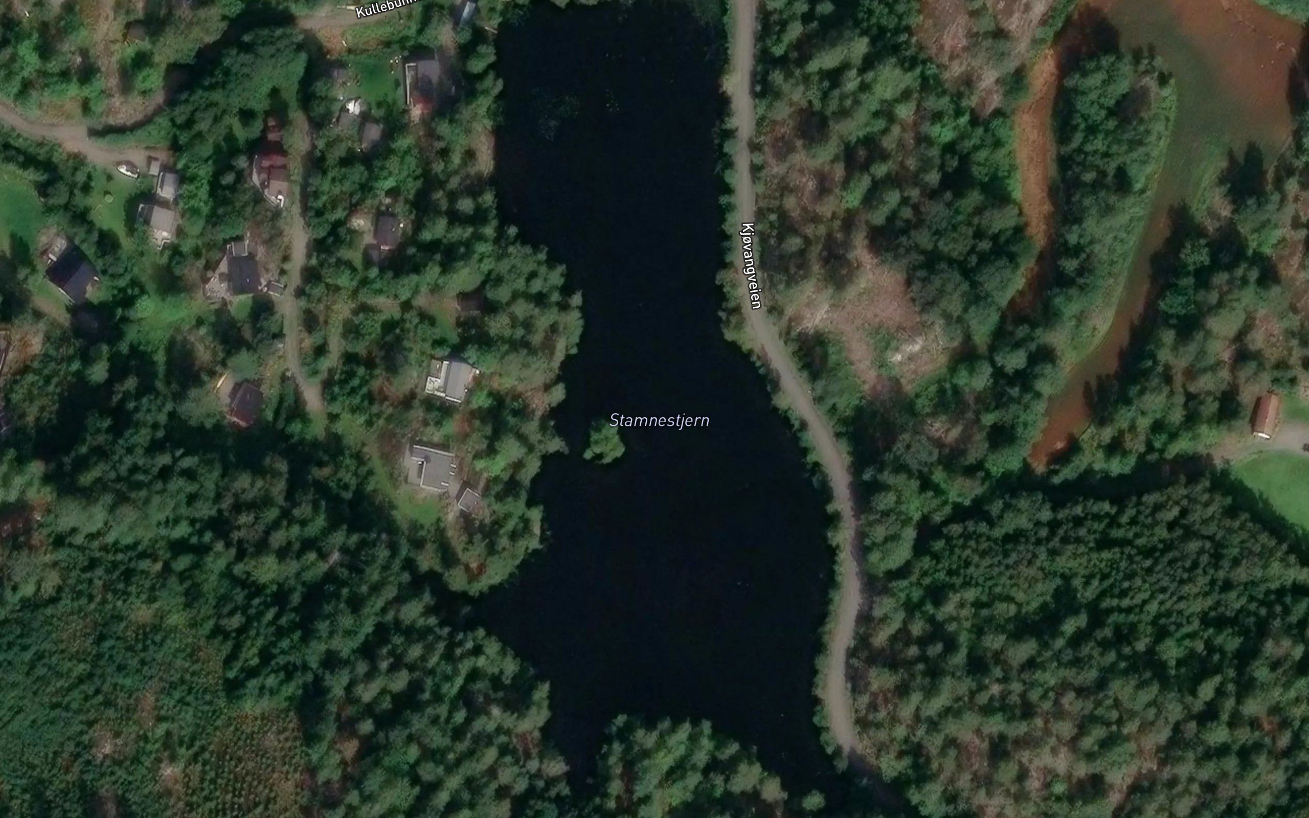 Stamnestjern