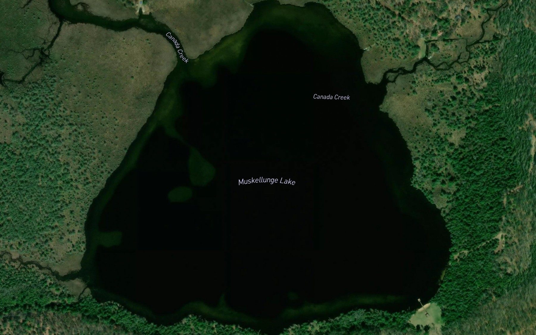 Satellite map of the Muskellunge Lake