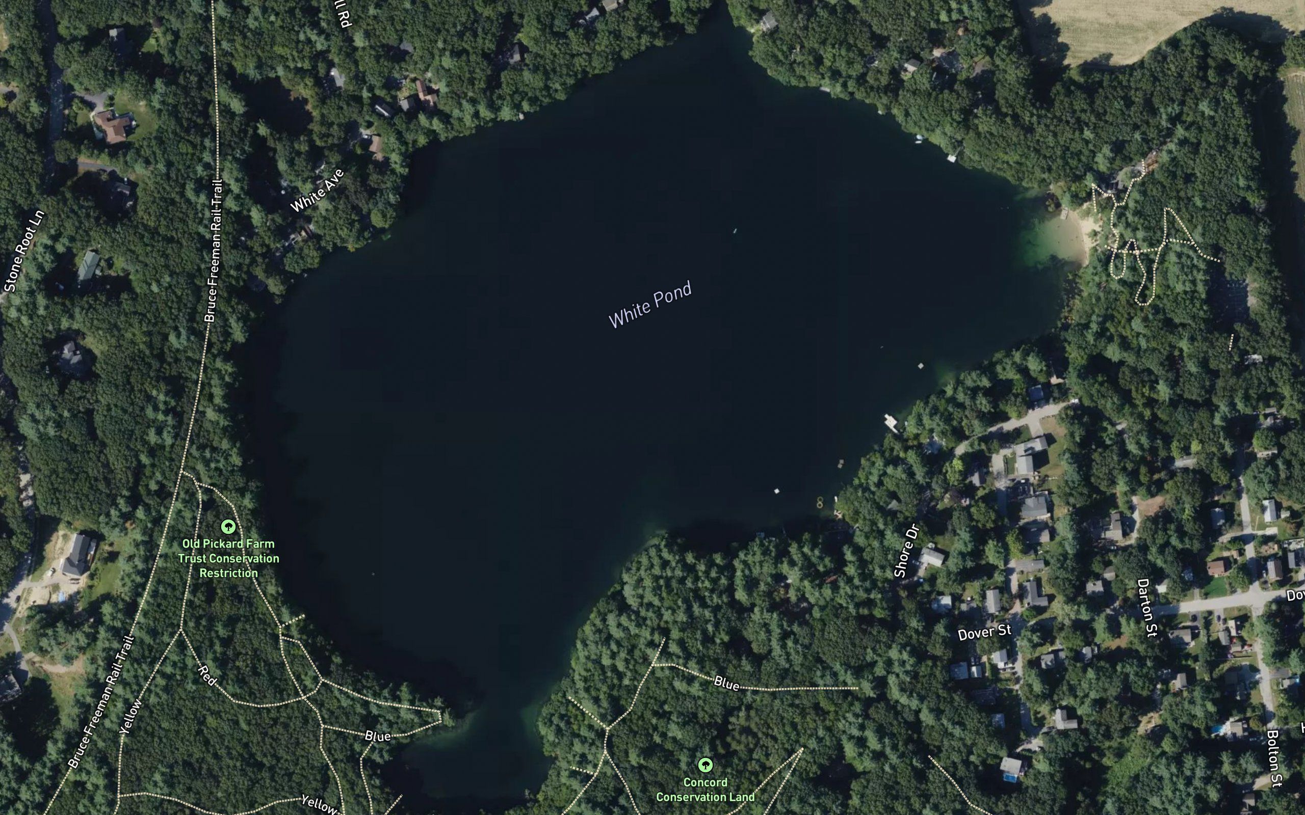 White Pond