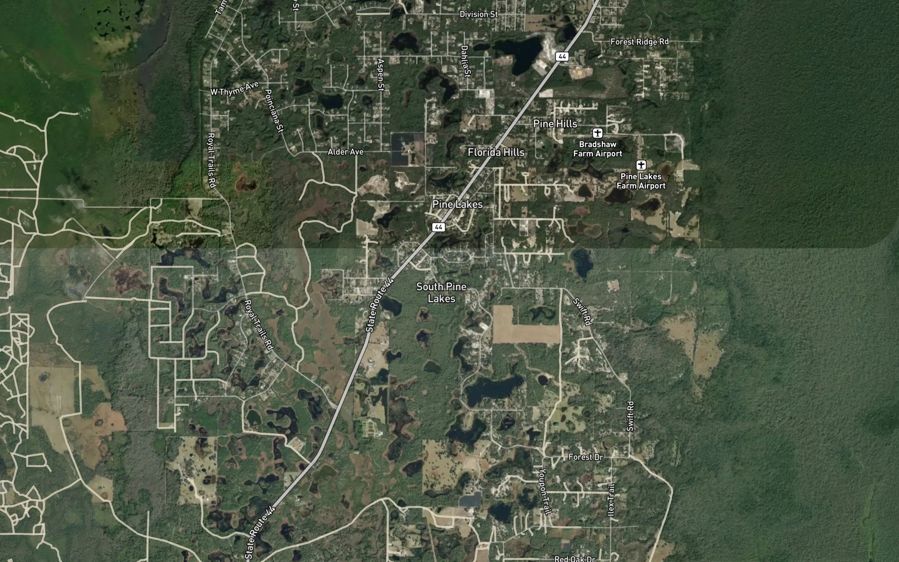 Satellite map of the South Lake
