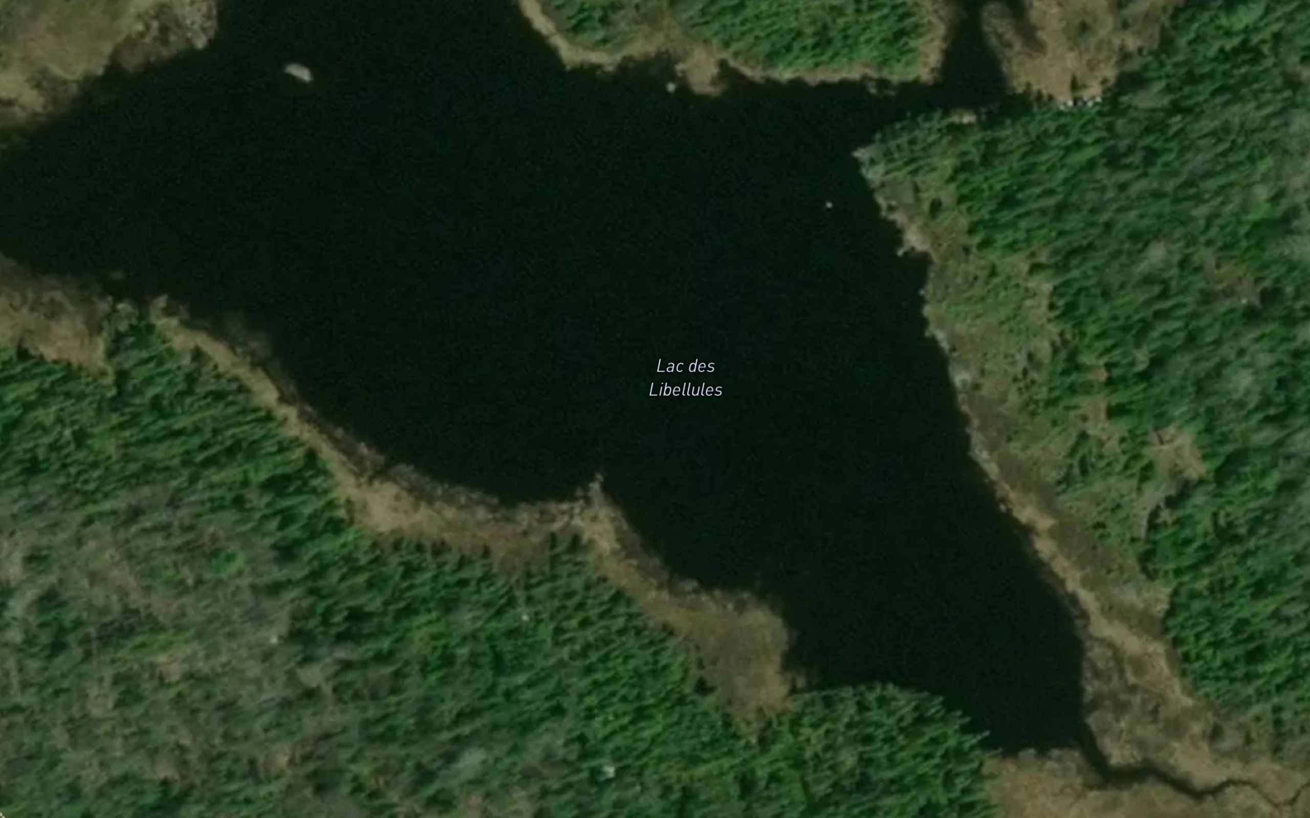 Lac des Libellules
