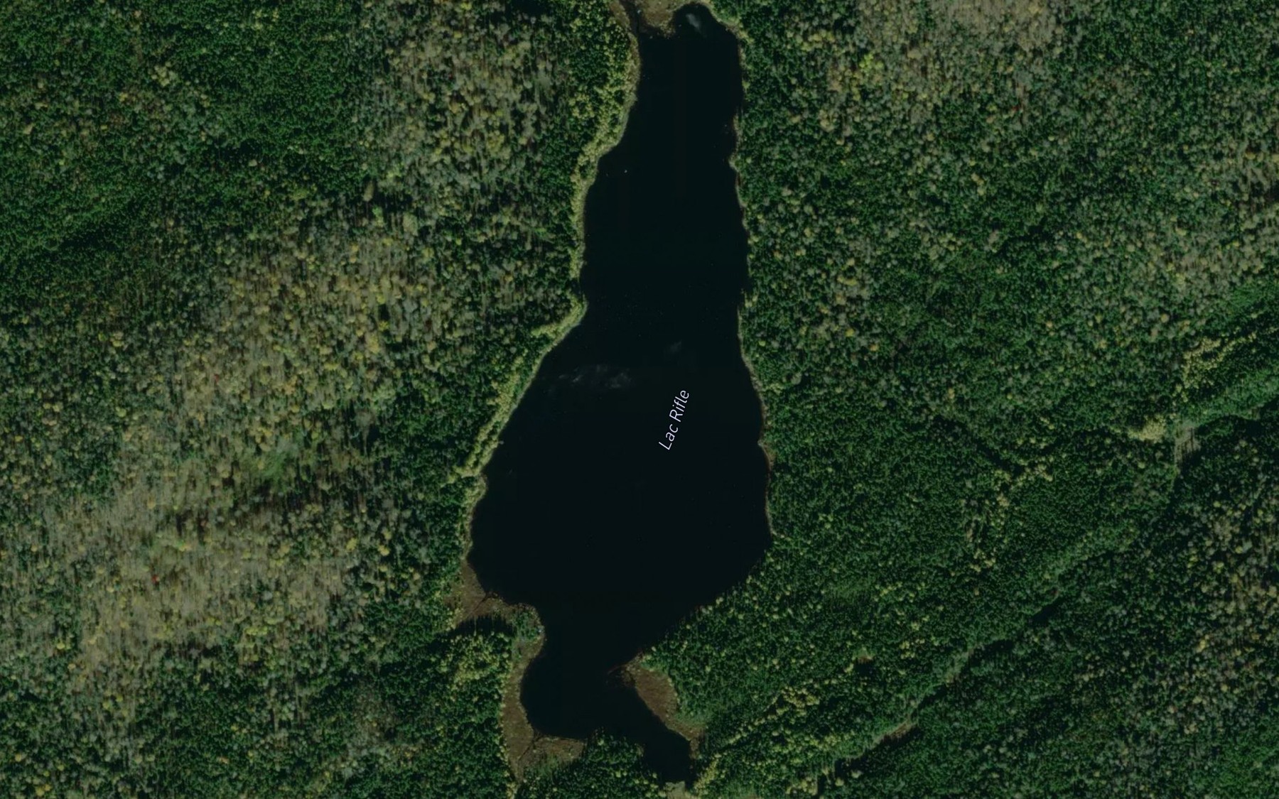 Satellite map of the Lac Rifle