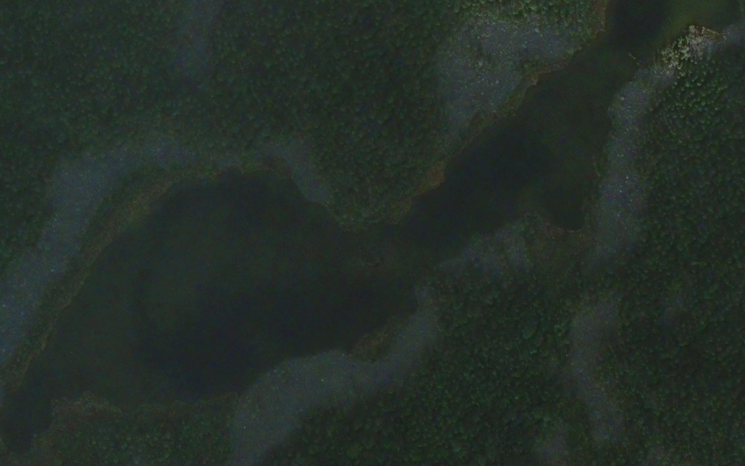 Rantatupajarvi