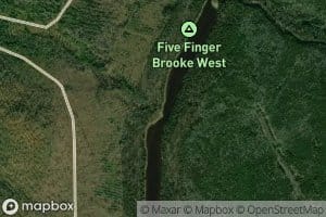 Savage Brook