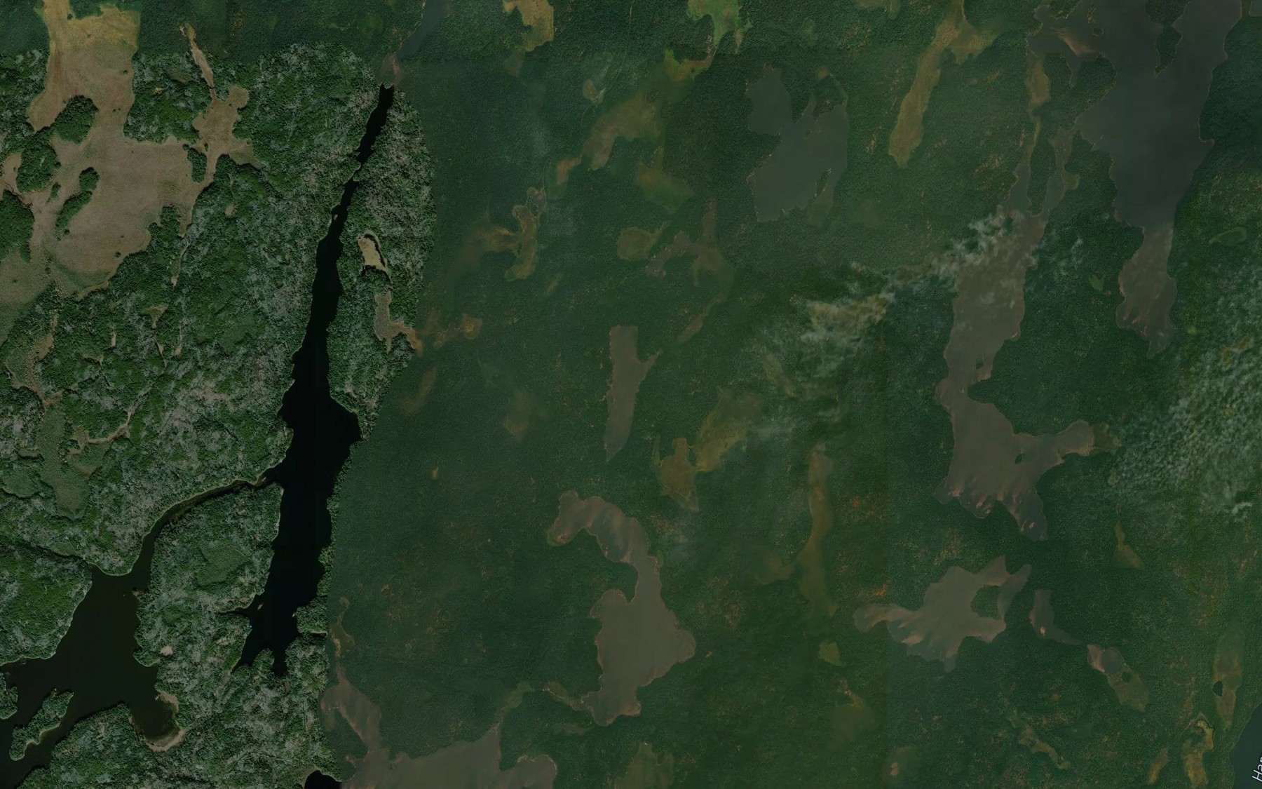 Satellite map of the Medwick Lake
