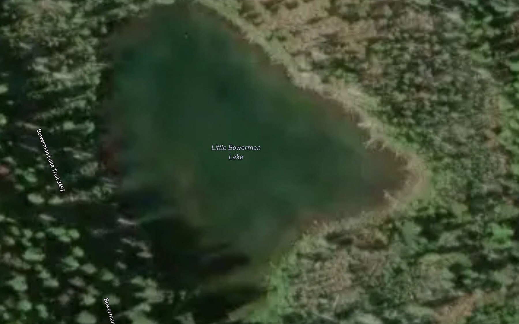 Satellite map of the Little Bowerman Lake