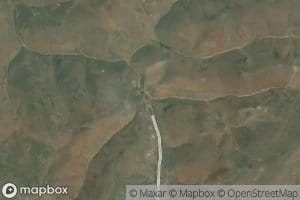 Twin Tank Spring
