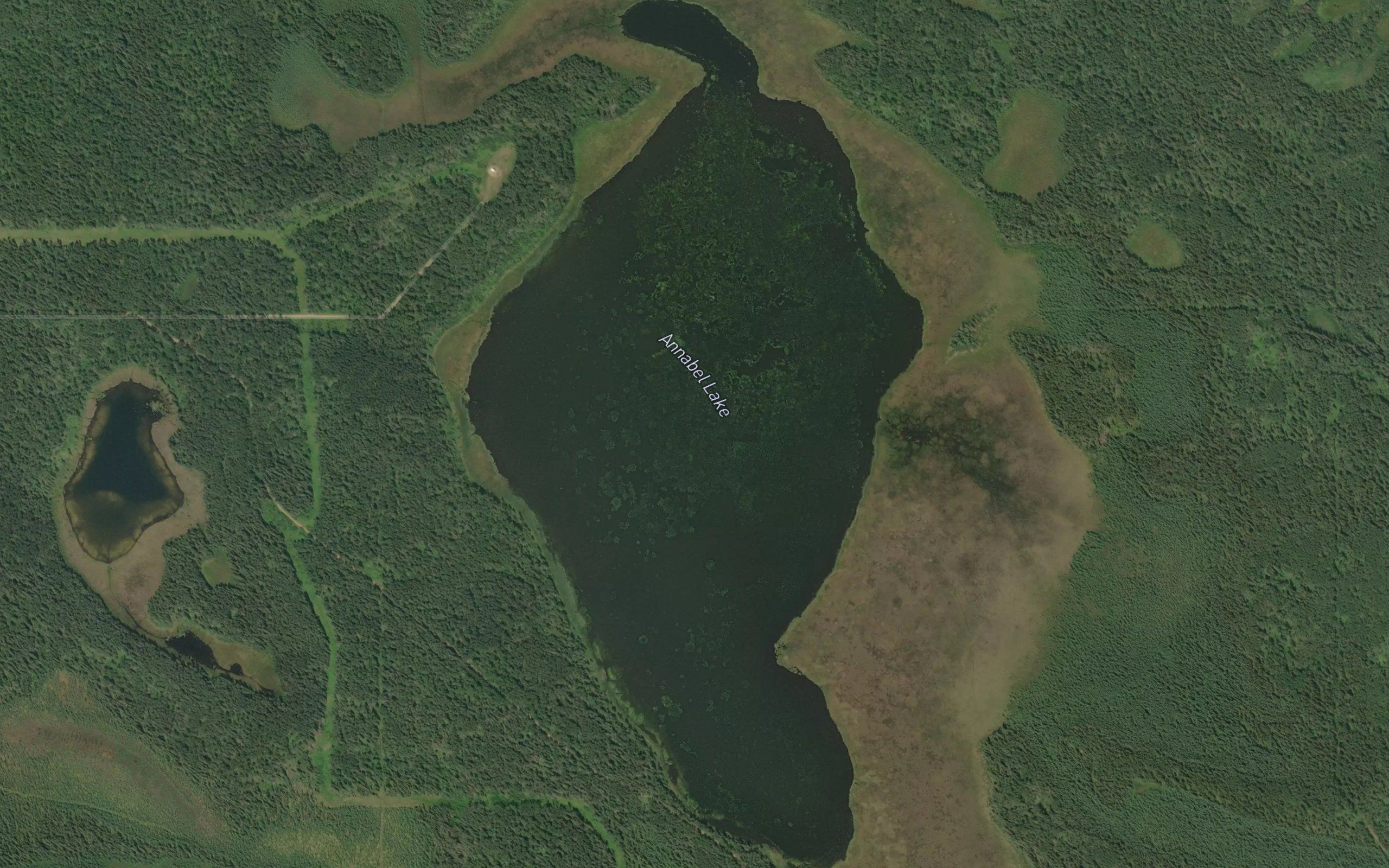 Annabel Lake