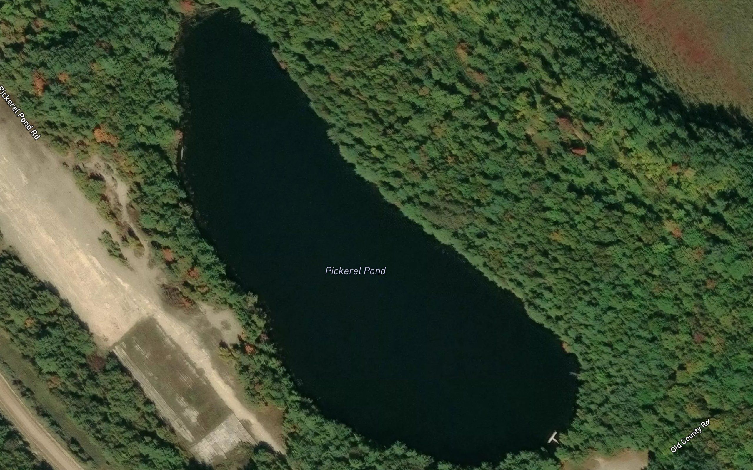 Pickerel Pond