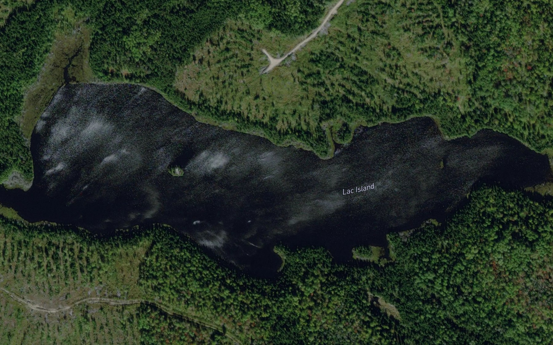 Satellite map of the Lac Island