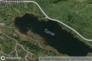 Torvetjorn