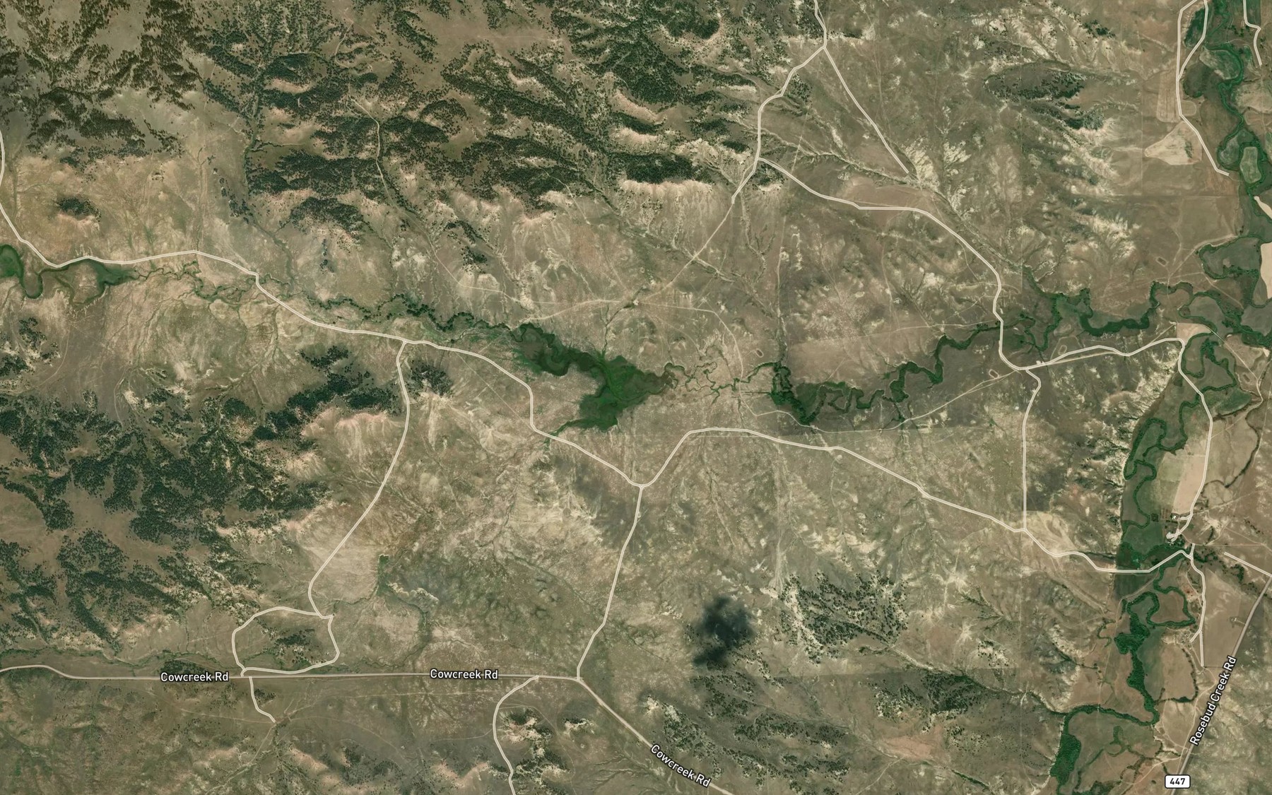 Satellite map of the South Fork Cow Creek