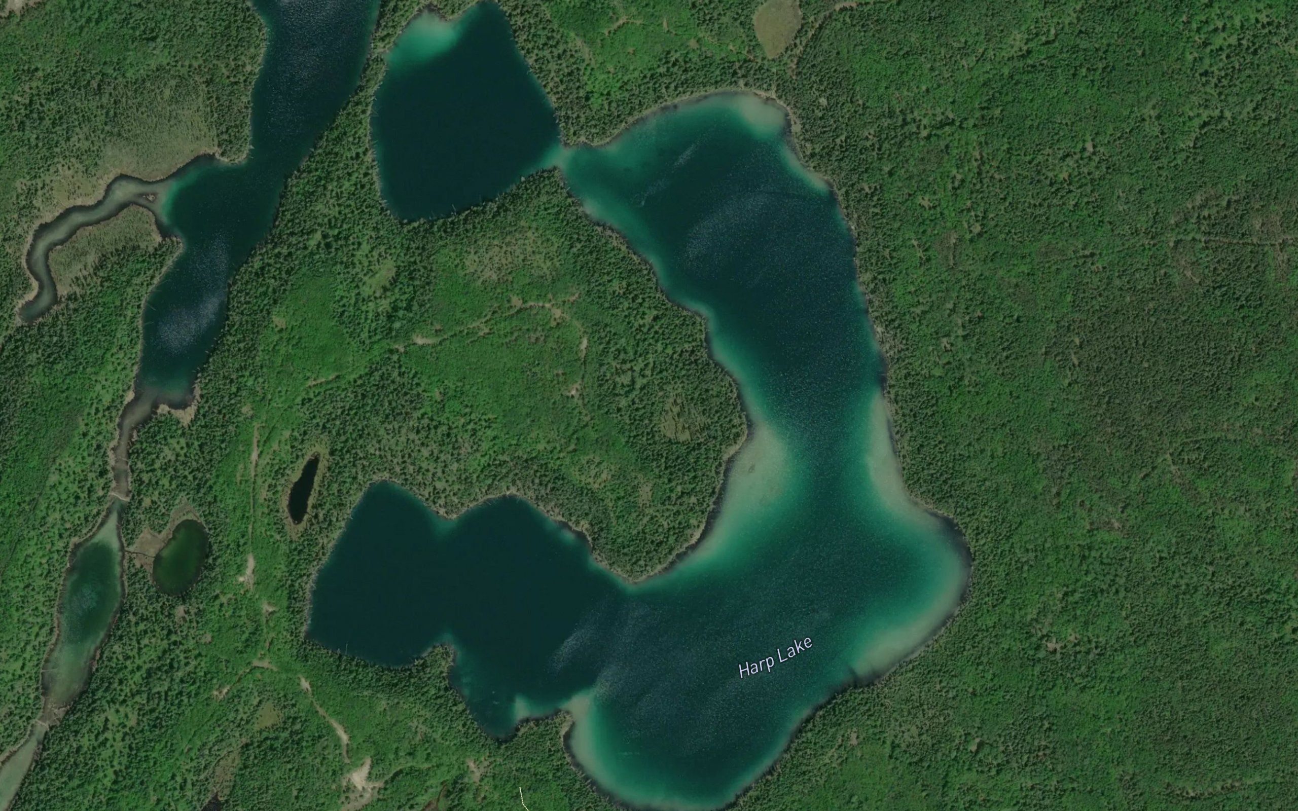 Harp Lake
